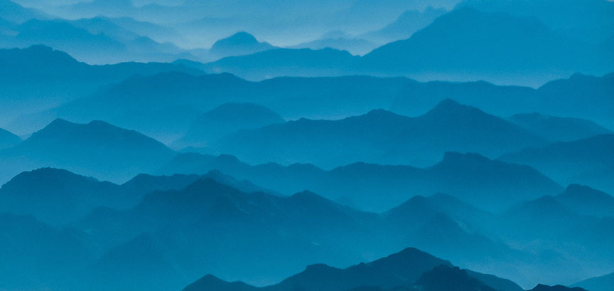 Community tree planting